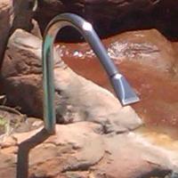 Nackenschwall 2 20170529 1982895974