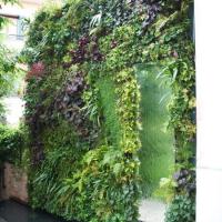 Vertikaler Wasser Garten 4 20170609 1812229588