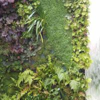 Vertikaler Wasser Garten 6 20170609 1318315863