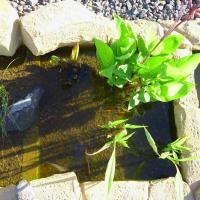 Wasseranlage Mit Kunstfelsengrotte 10 20170609 1200105520