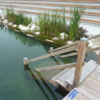 Biopools 3 20170611 1741305615