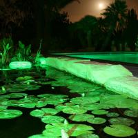 Lichteffekte Wasserwelt 2 20170611 1811120269