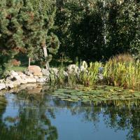 Schwimmteich 2 20170611 1374055444