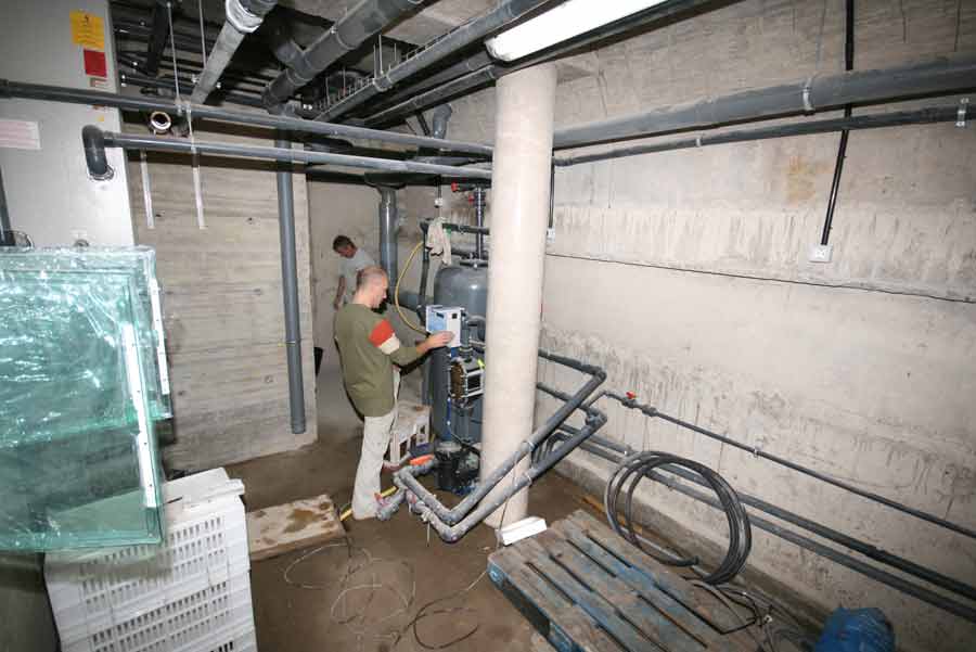 Manejo cuidadoso de elementos